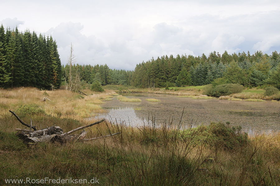 Bremdalcamping artikel 011117 52