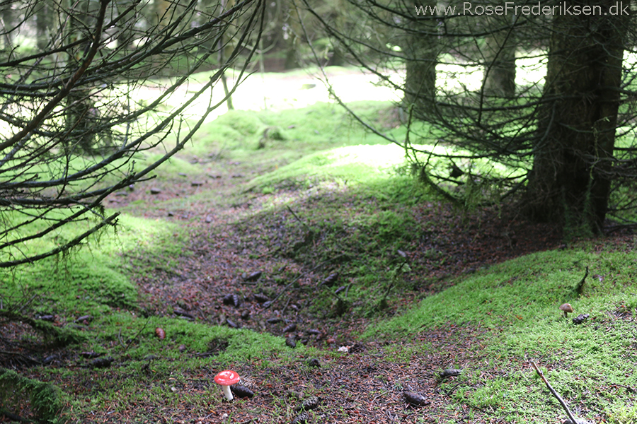 Bremdalcamping artikel 011117 56