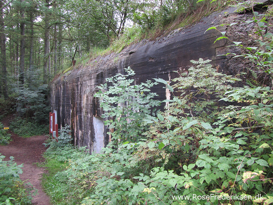 Bremdalcamping artikel 011117 57