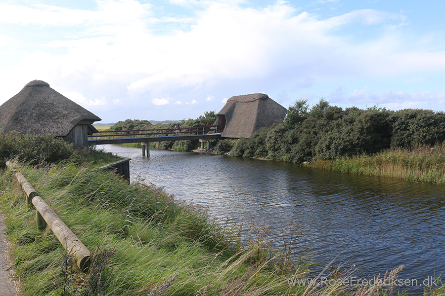 Bremdalcamping artikel 011117 66