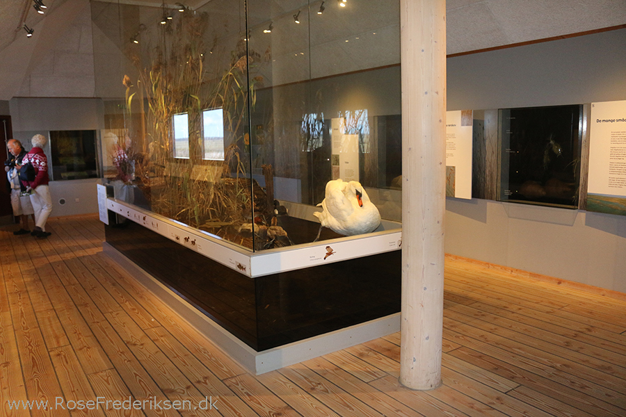 Bremdalcamping artikel 011117 67