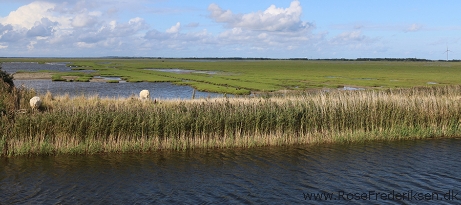 Bremdalcamping artikel 011117 68