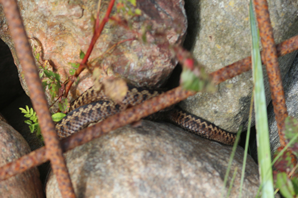 Bremdalcamping artikel 011117 69