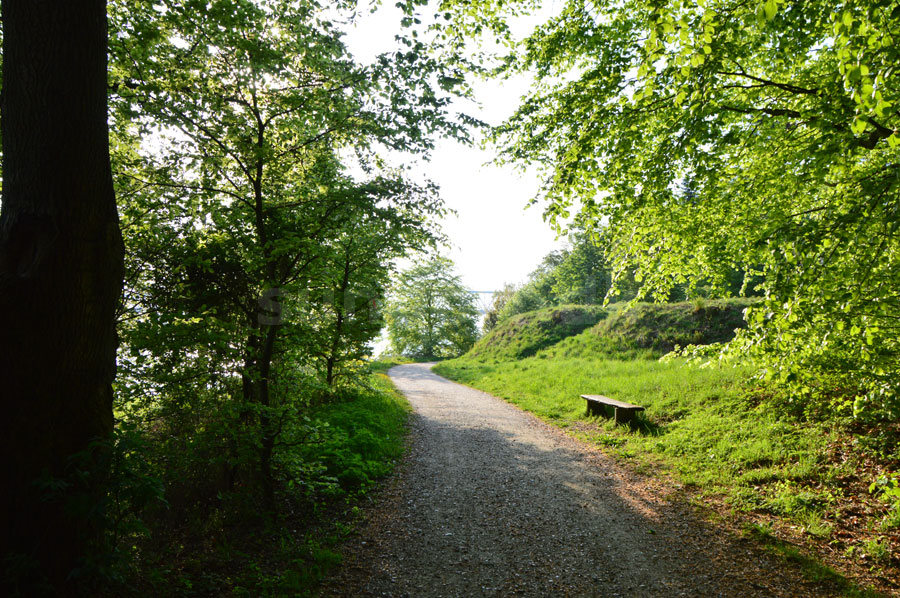 Hinsgavl artikel lars 240518 04