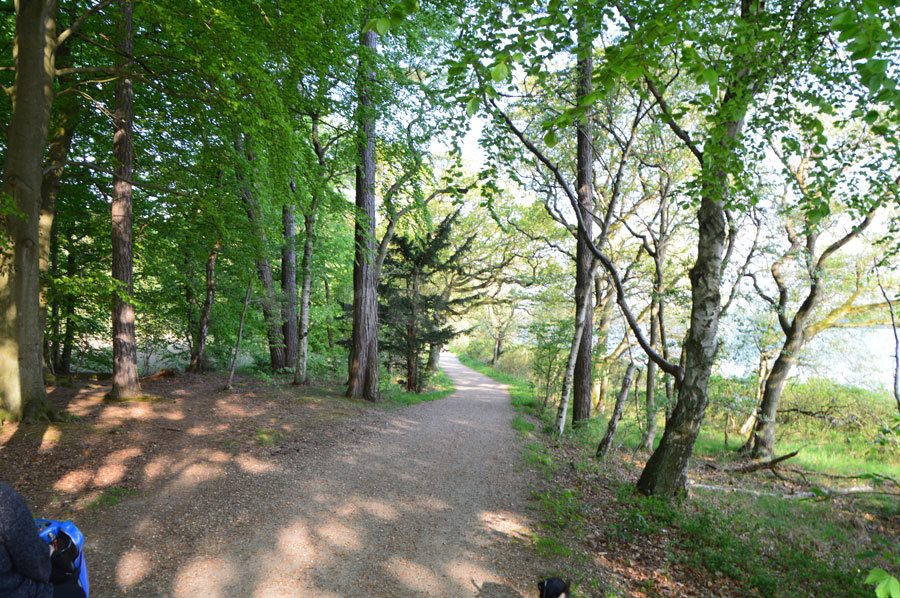 Hinsgavl artikel lars 240518 05