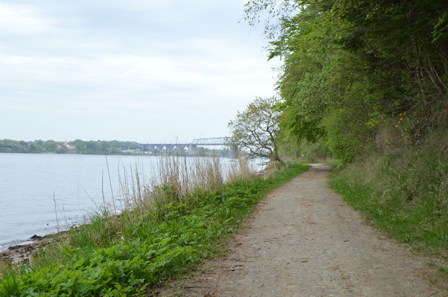 Hinsgavl artikel lars 240518 06
