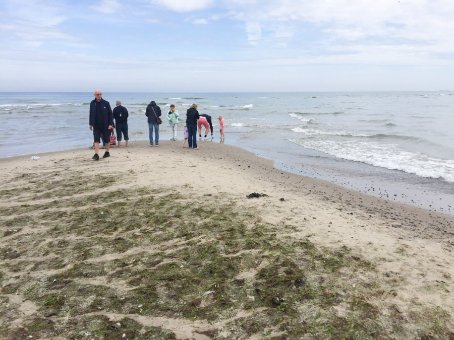 skagen lmc 2016 ny 14