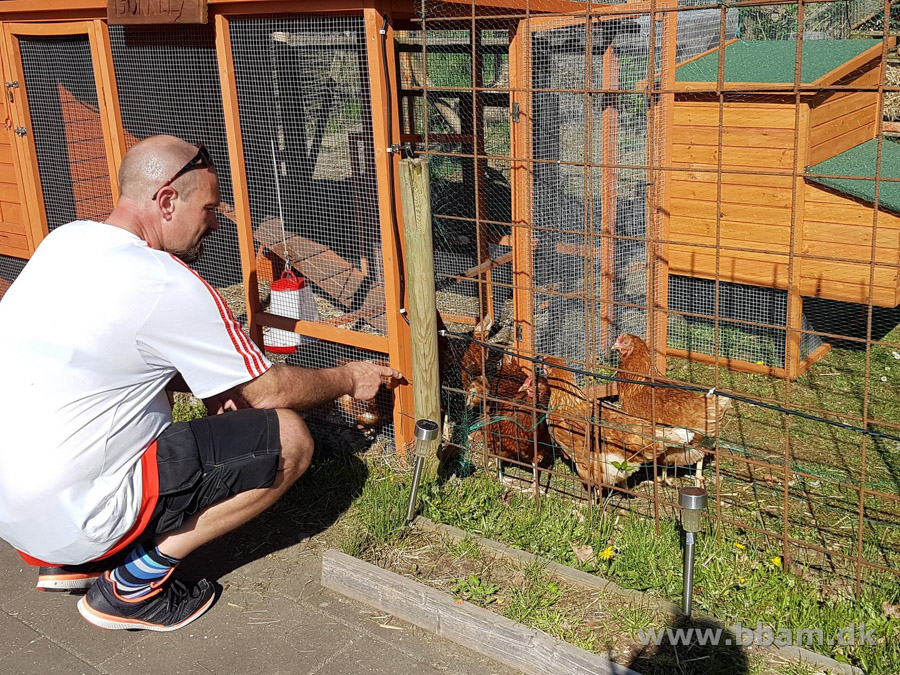 bbam egtved camping del1 09