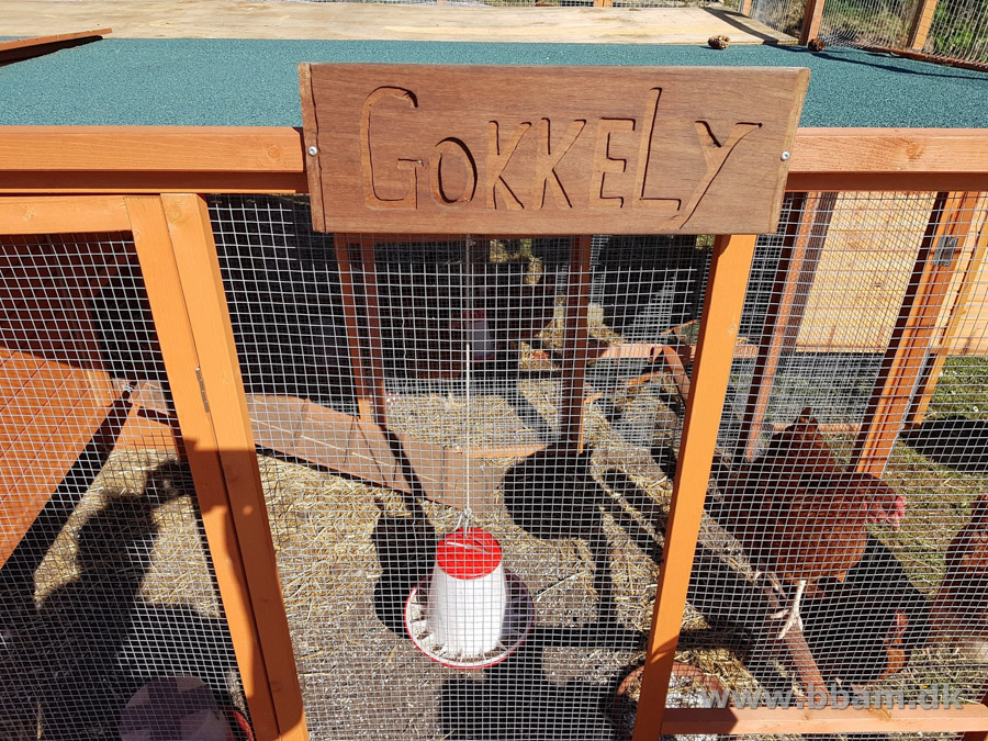 bbam egtved camping del1 10