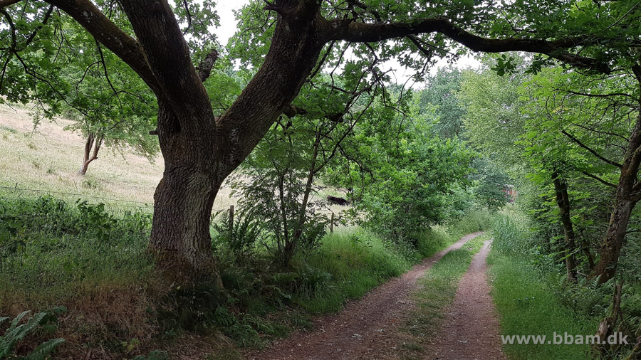 bbam egtved camping del1 16