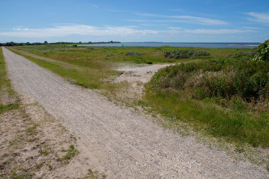 Der er sti helt ud på molen