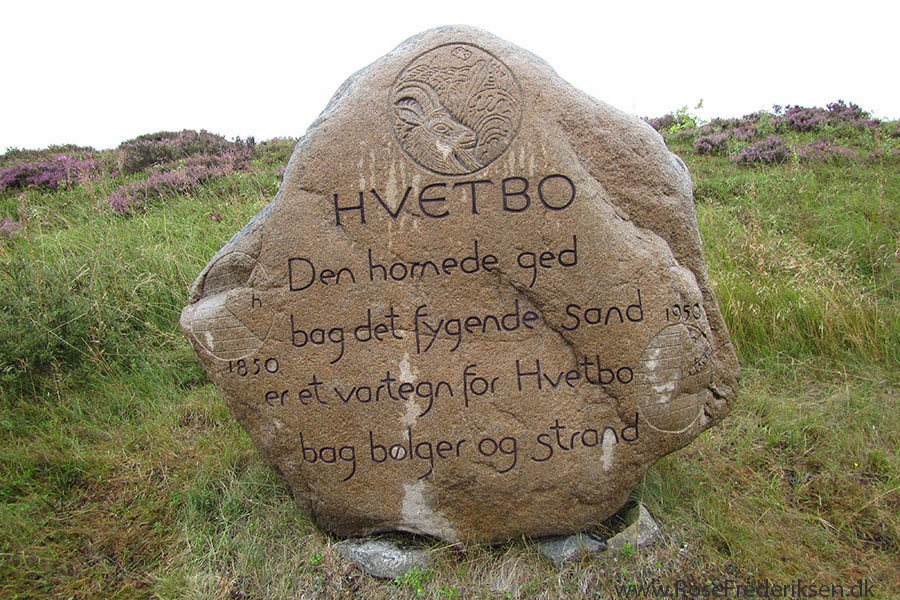 Hessellundscamping artikel 280818 46