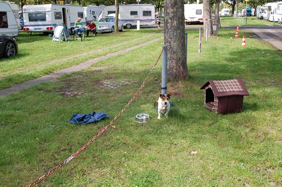 clara dusseldorf camping 2016 02