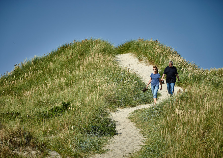 Klitterne ved Henne Strand Camping