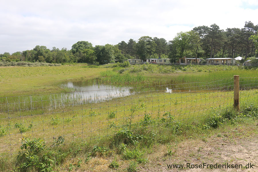 Castricum Helle 190819 25