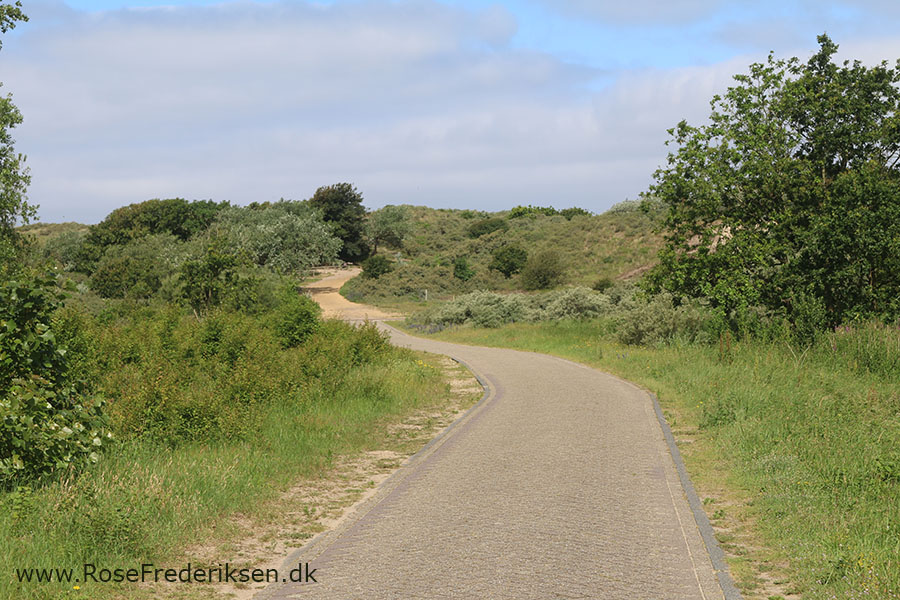 Castricum Helle 190819 26