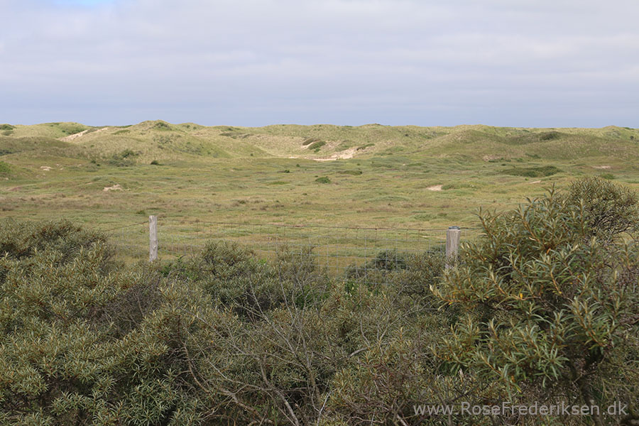 Castricum Helle 190819 28