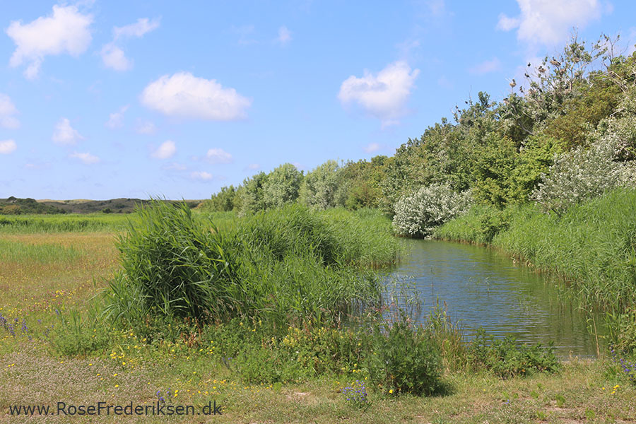 Castricum Helle 190819 36