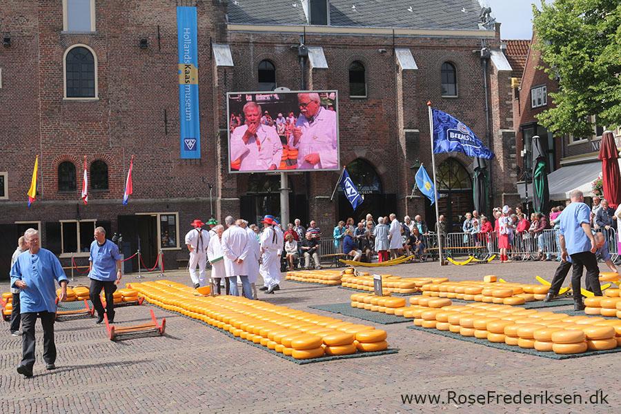 Castricum Helle 190819 43