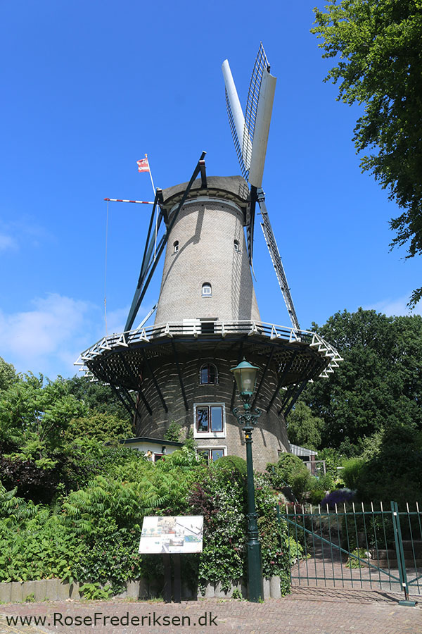 Castricum Helle 190819 52