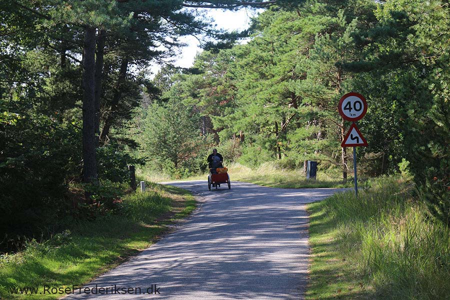 Rose Frederiksens weekendtur til Anholt 09