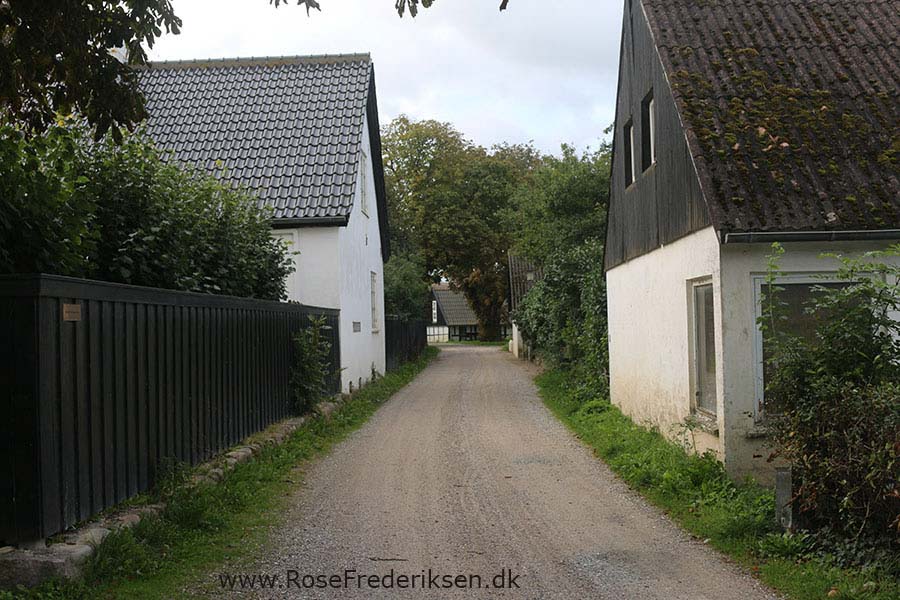 Rose Frederiksens weekendtur til Anholt 26