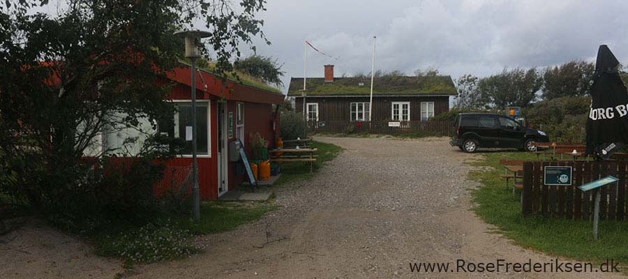 På weekendtur til Anholt 39