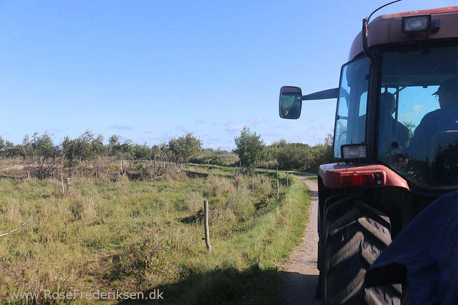 rf efterar 2019 del2 3 48