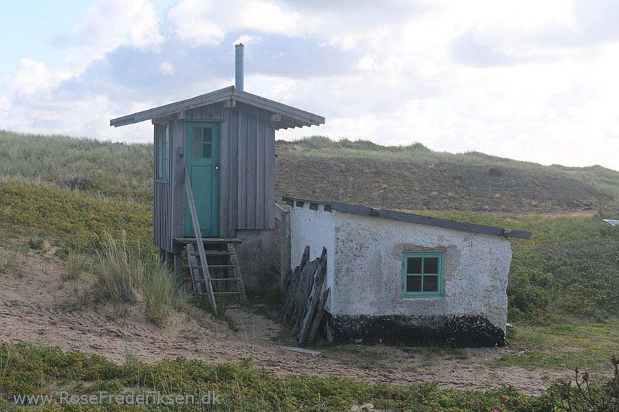 Anholt Fyr 56