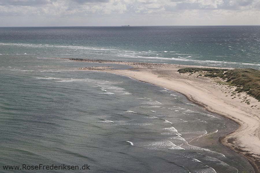 Anholt Fyr 66
