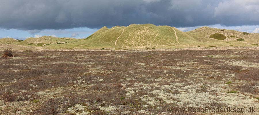 Anholt Fyr 68