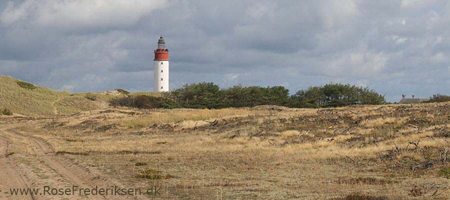 Anholt Fyr 69