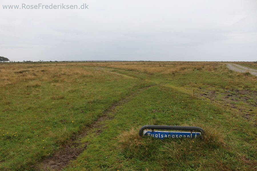 Camping på Læsø - Læsø Salt og Rønnerne