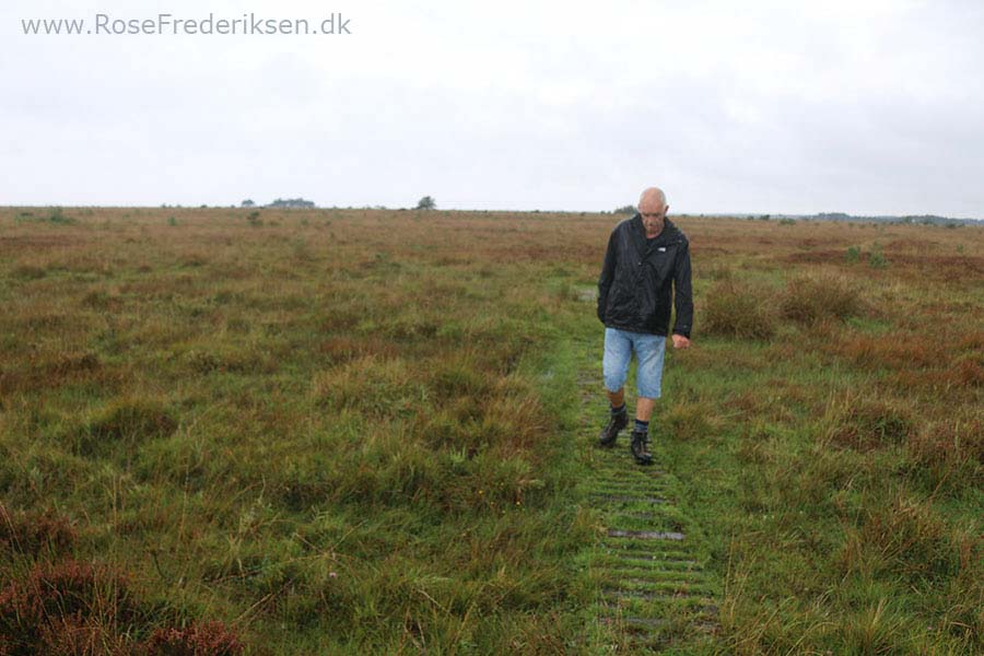 Camping på Læsø - Læsø Salt og Rønnerne