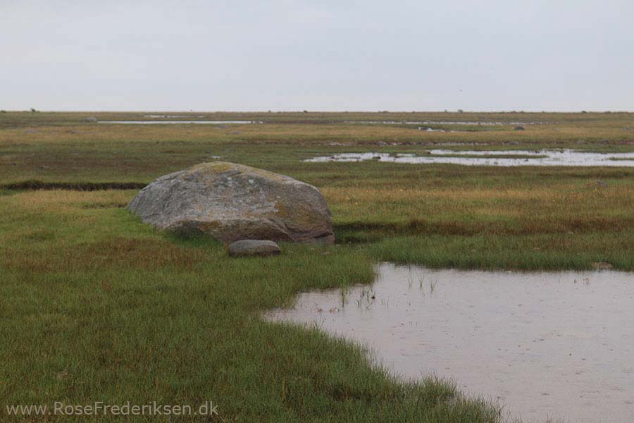 Camping på Læsø - Læsø Salt og Rønnerne