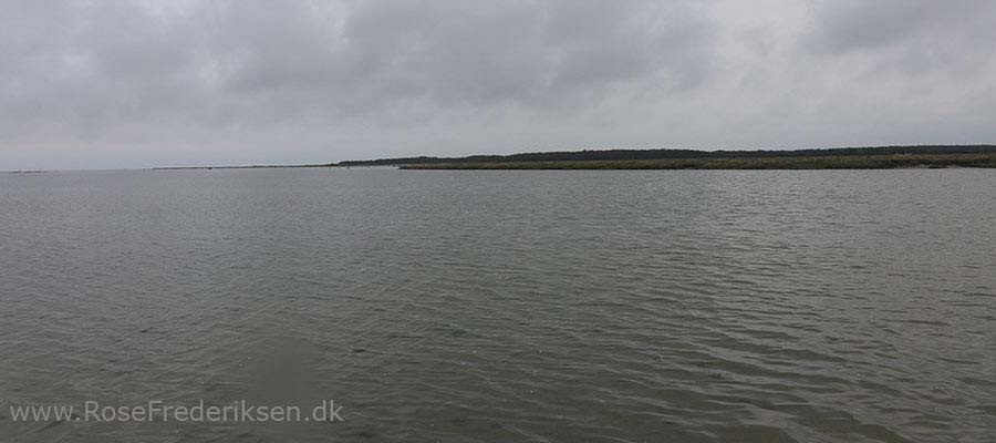 Camping på Læsø - Læsø Salt og Rønnerne