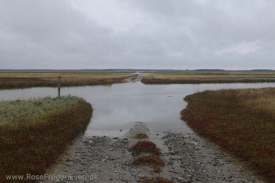 Camping på Læsø - Læsø Salt og Rønnerne