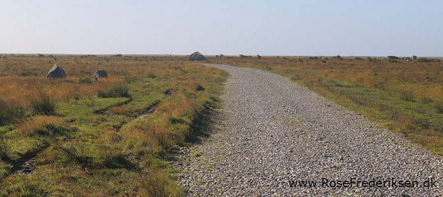 Camping på Læsø - Læsø Salt og Rønnerne