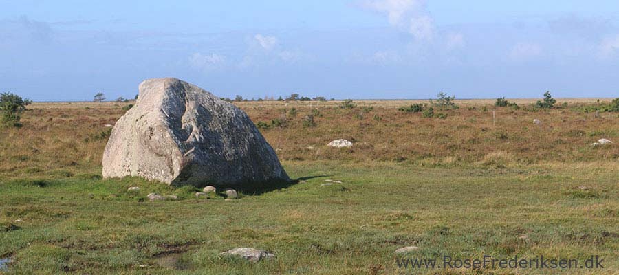 Camping på Læsø - Læsø Salt og Rønnerne