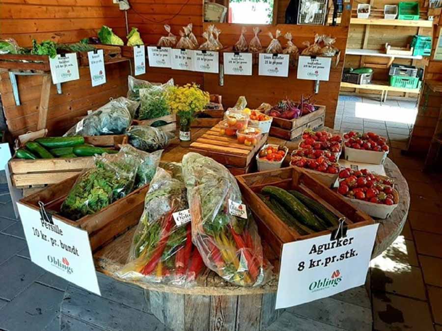 Home is where I park artikel1 06