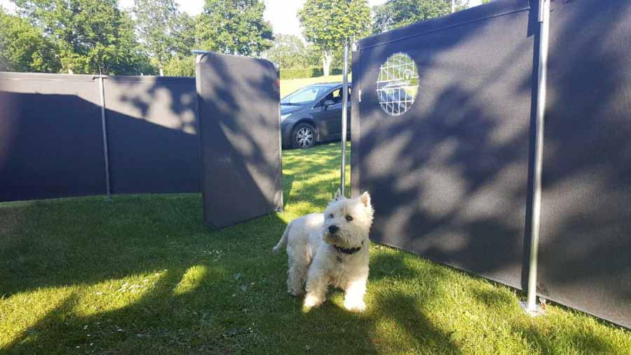 Carlo the Westie og Isabella Mega læsejl